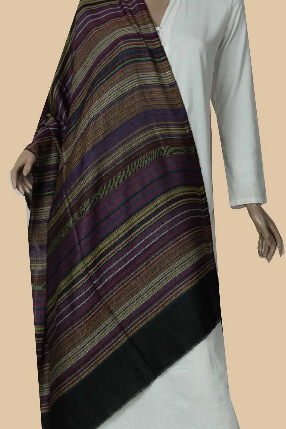 Colour Play Kashmir Woolen Stole