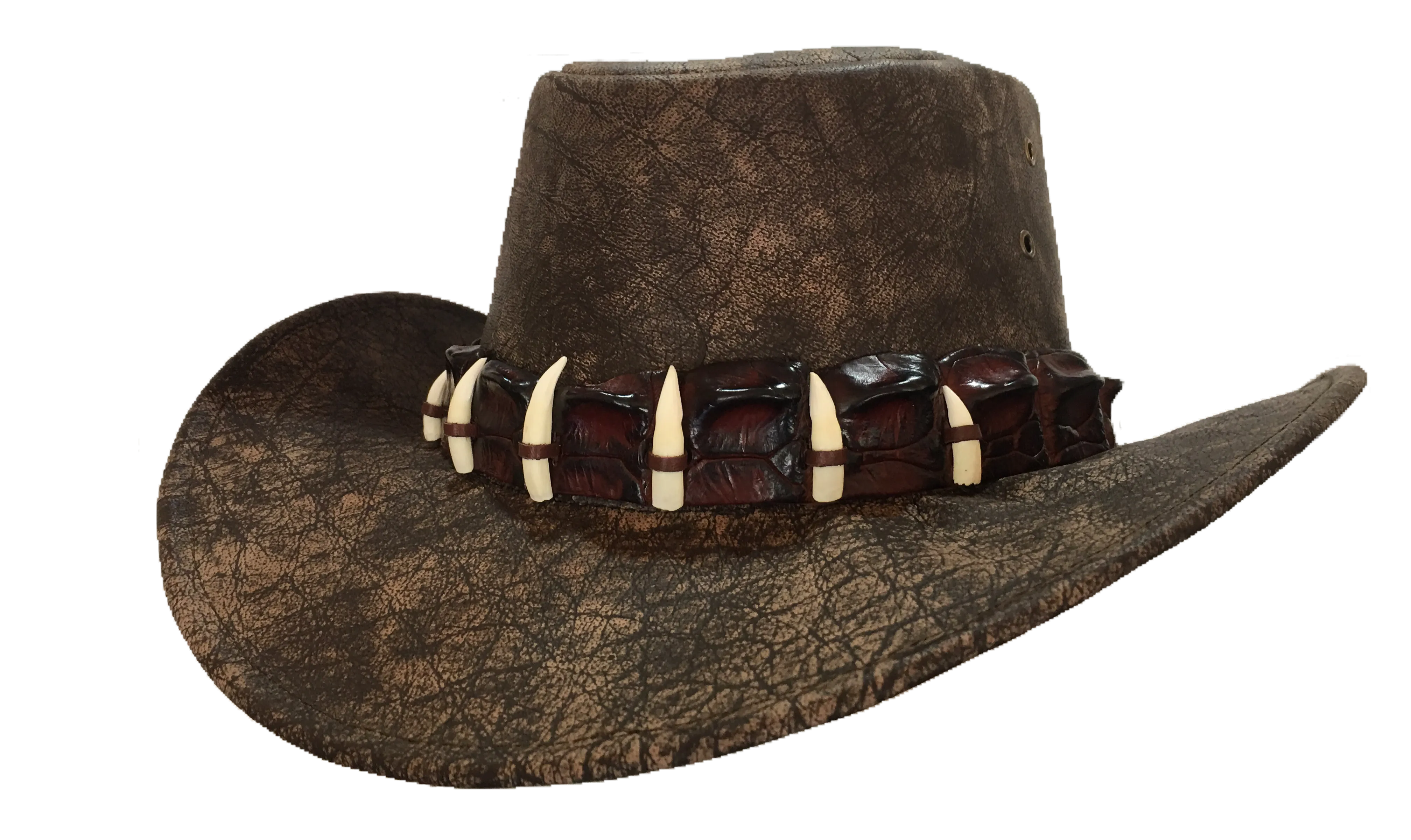 Croc Hat Band 23