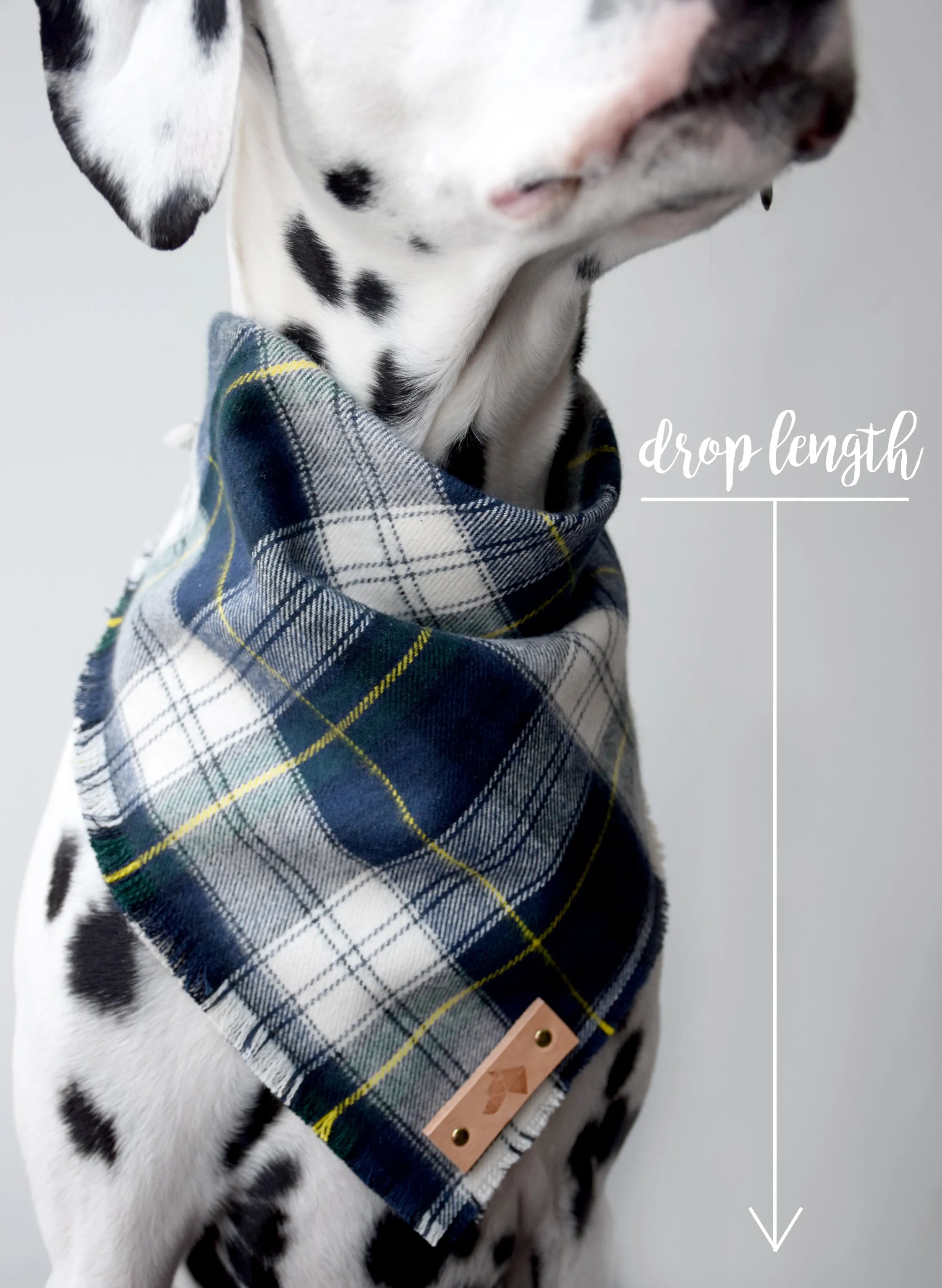 PERTH Reversible Cotton Dog Bandana - Snap/Tie On Cotton Scarf
