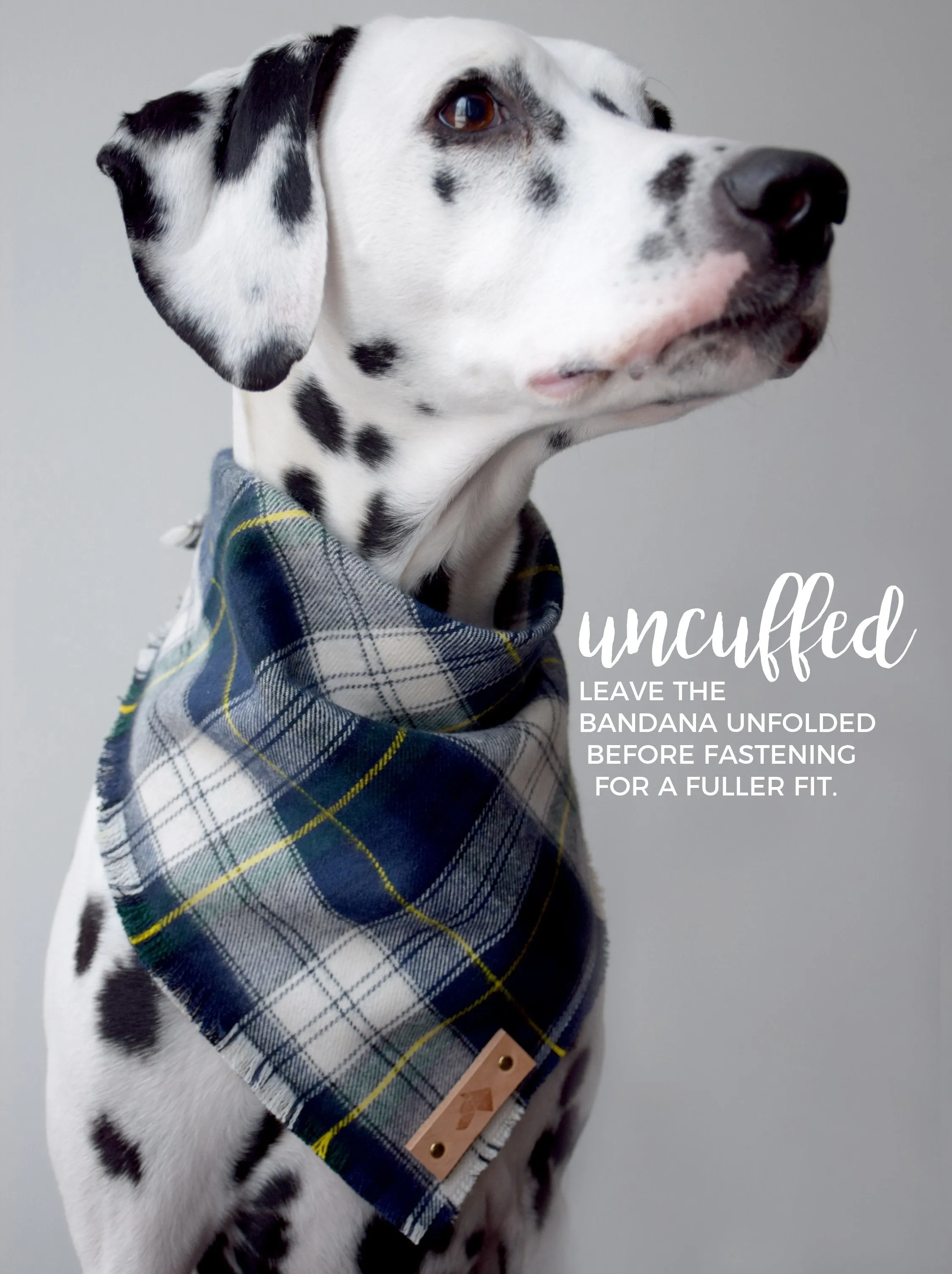 PERTH Reversible Cotton Dog Bandana - Snap/Tie On Cotton Scarf