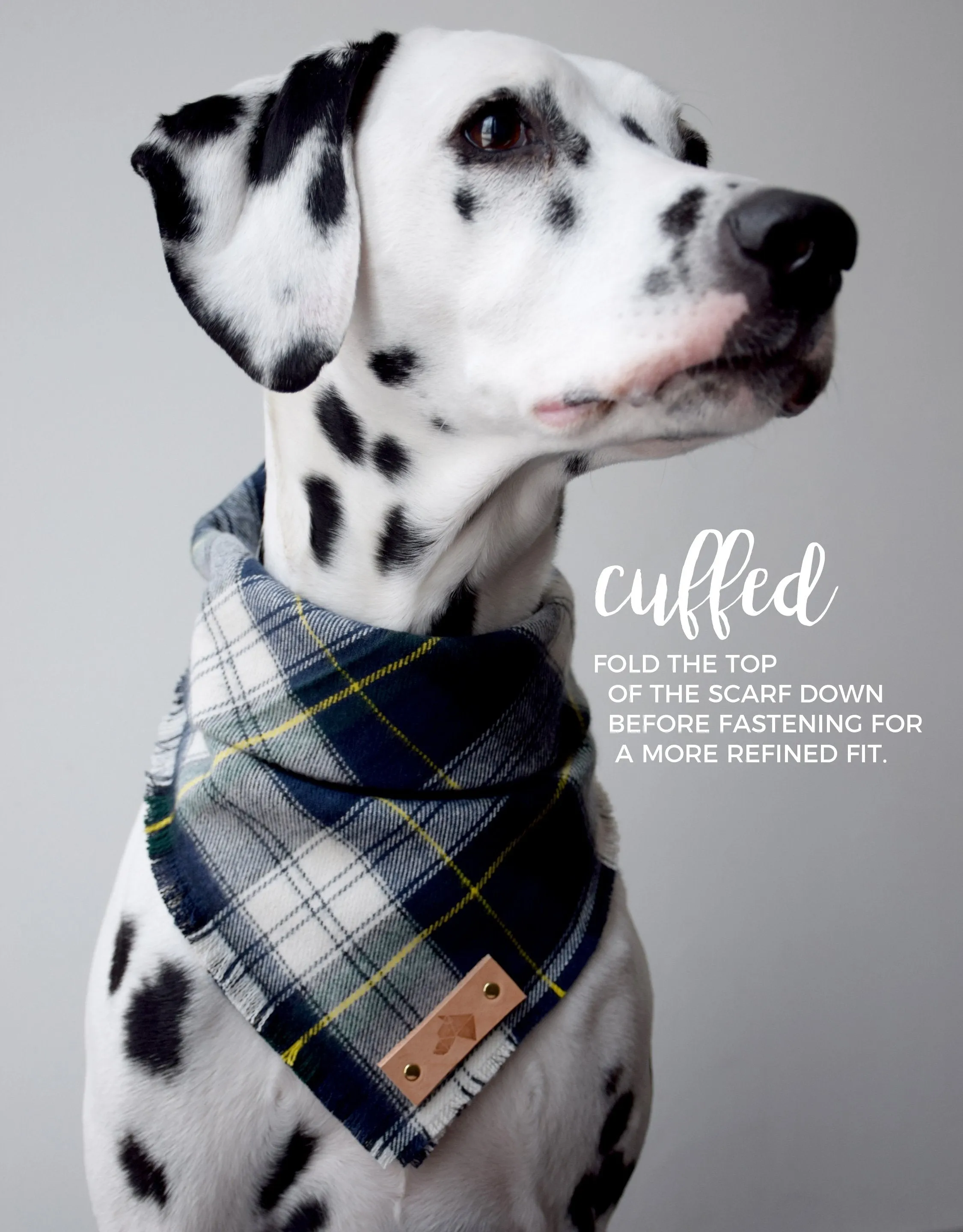 PERTH Reversible Cotton Dog Bandana - Snap/Tie On Cotton Scarf