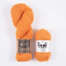 WESTKNITS KIT - TANGERINE MOHAIR MATCH DK
